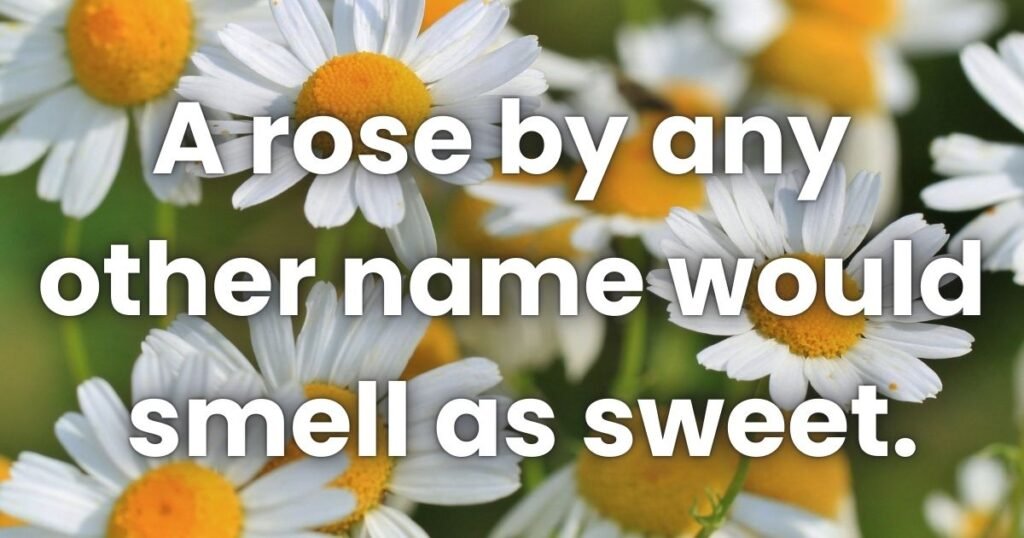 Famous Good Quotes