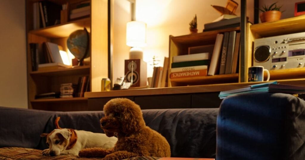 Adorable Messages for Warm Evening Vibes
