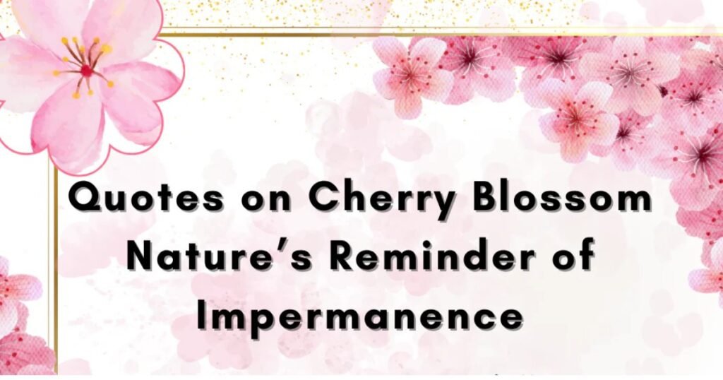 Blossom Quotes About Impermanence