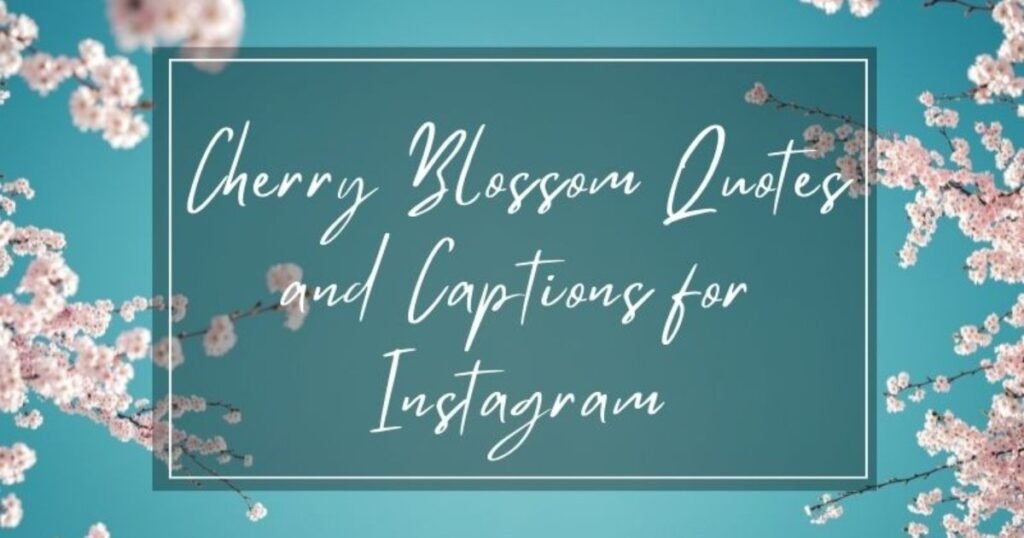 Cherry Blossom Instagram Caption