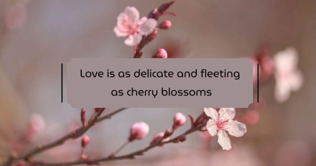 Cherry Blossom Quotes About Life