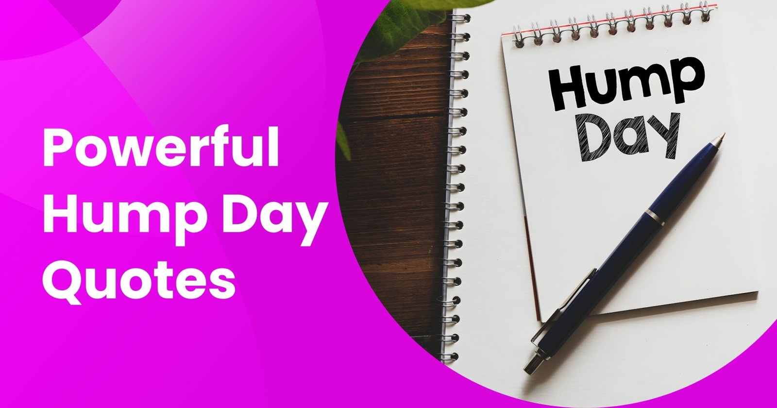 Hump Day Quotes
