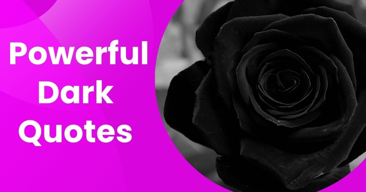Into the Darkness 210+ Dark Quotes That Speak Truth