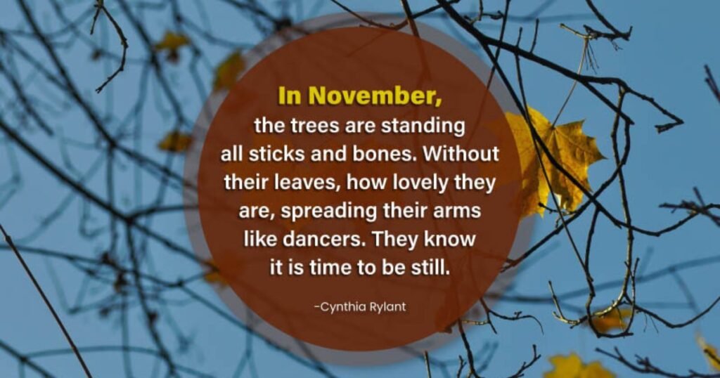 November Quotes for Instagram