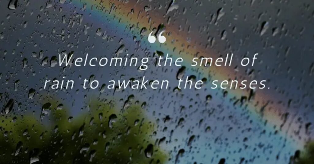 Rain Quotes for Instagram Captions