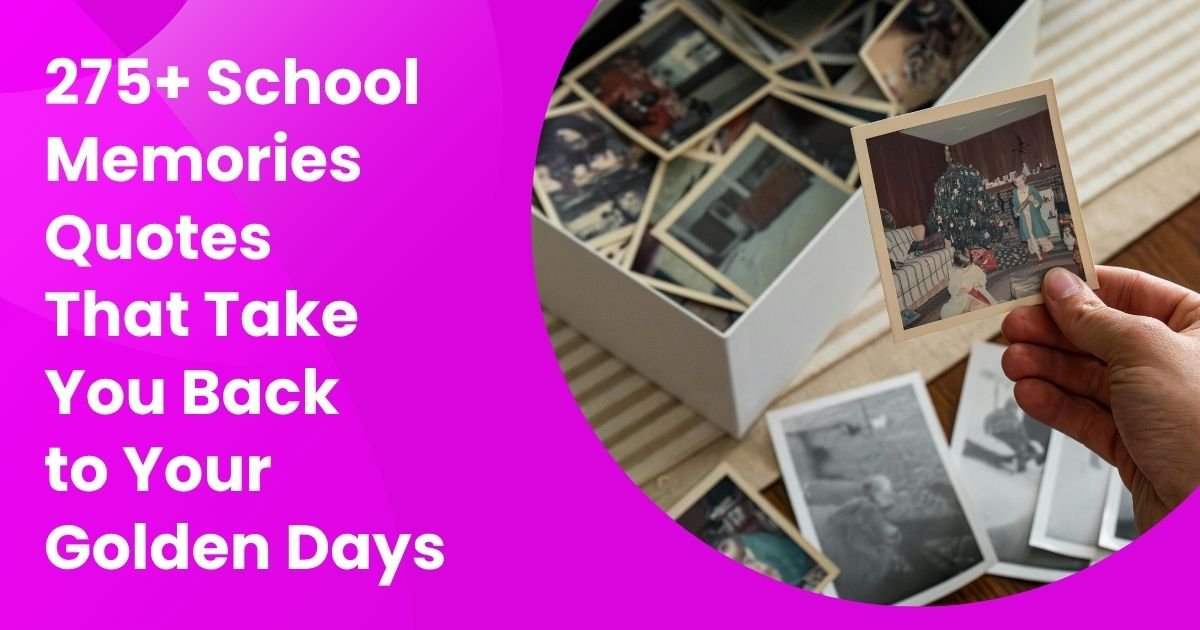 School Memories Quotes