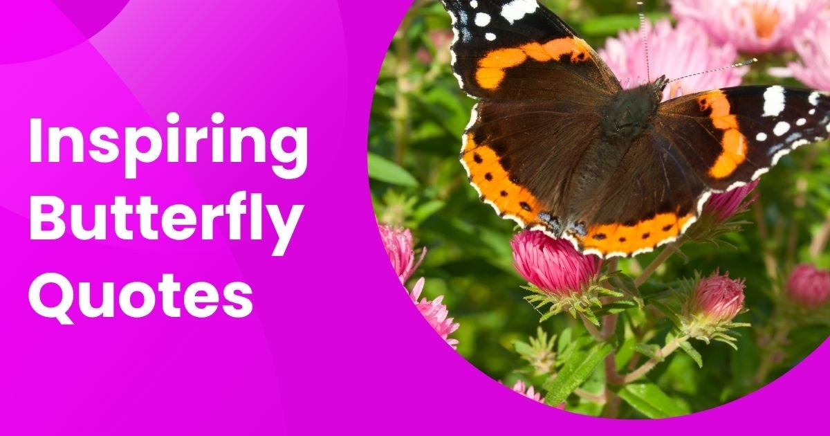 Butterfly Quotes